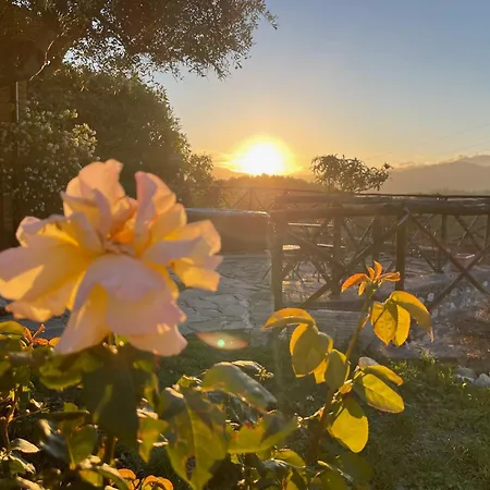 펜션 Immersa Nel *